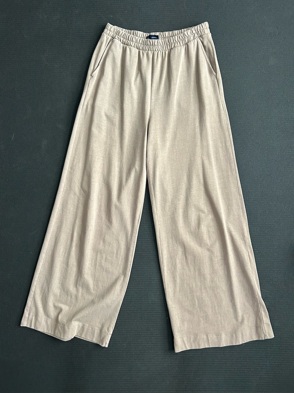 GAP Heavyweight Wide-leg Pant mountain trail size small
